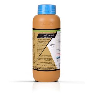 رانداپ کاوش