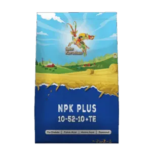 کود 105210