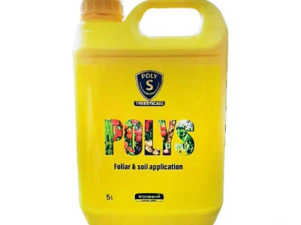 کود گوگرد کود گوگرد