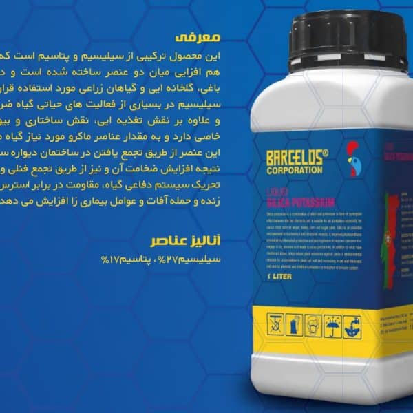 سیلیکات پتاسیم