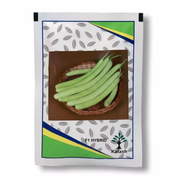 بذر خیار چنبر کلش