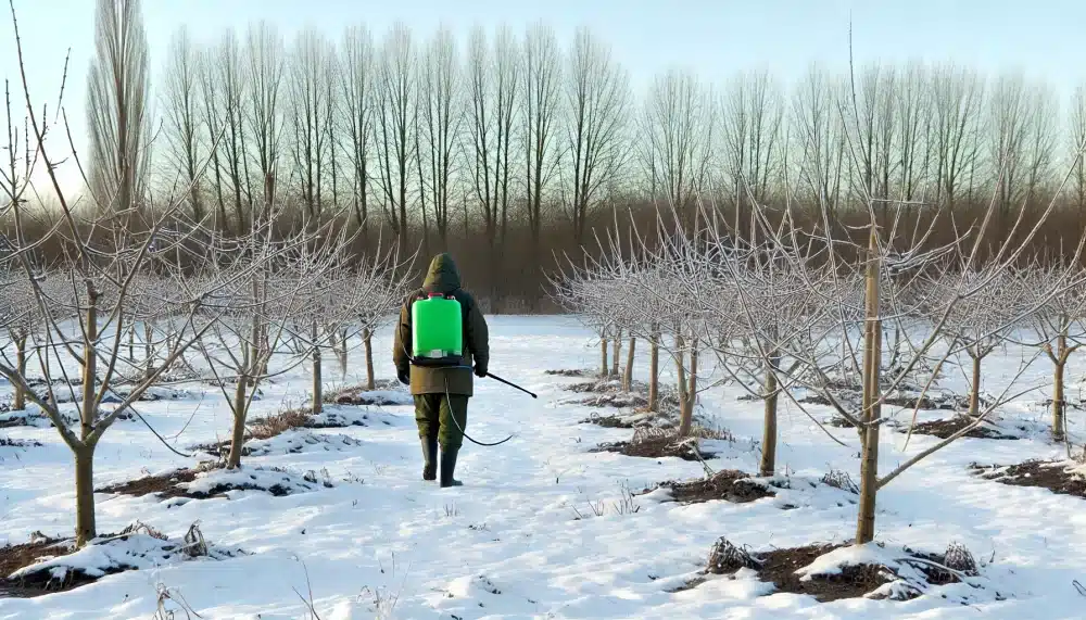 باغبان در حال سمپاشی درختان پوشیده از برف در یک باغ زمستانی برای کنترل آفات و حفاظت از درختان در برابر بیماری‌ها.