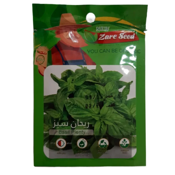 بذر ریحان سبز