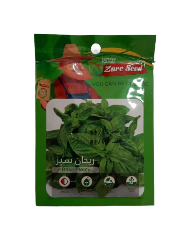 بذر ریحان سبز