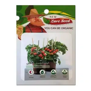 بذر گوجه گیلاسی