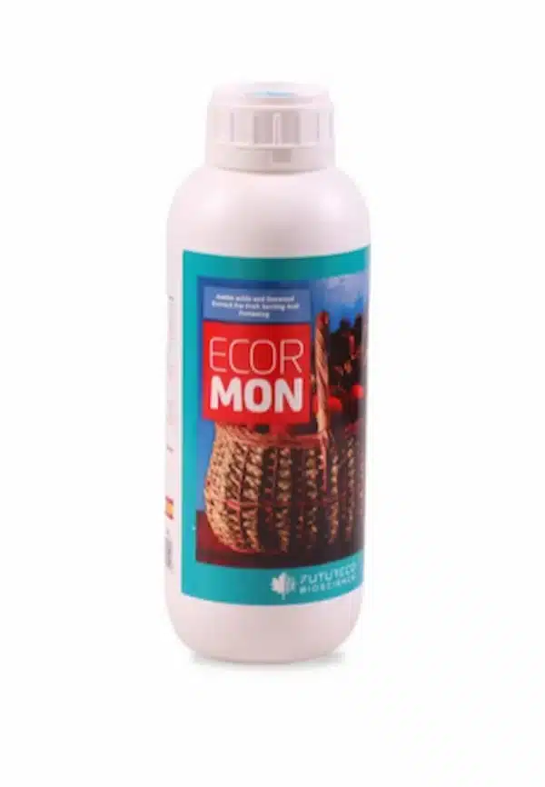 اکورمون اکورمون