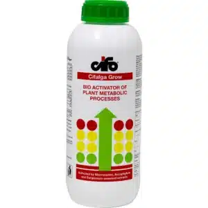 کود سیفالگا گرو سیفو ایتالیا