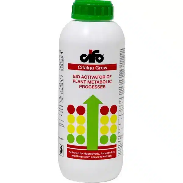 کود سیفالگا گرو سیفو ایتالیا